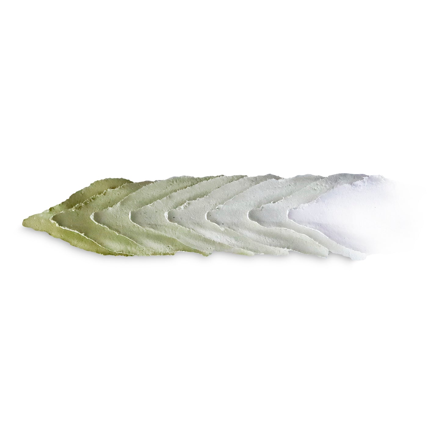 Green Tea (500g)