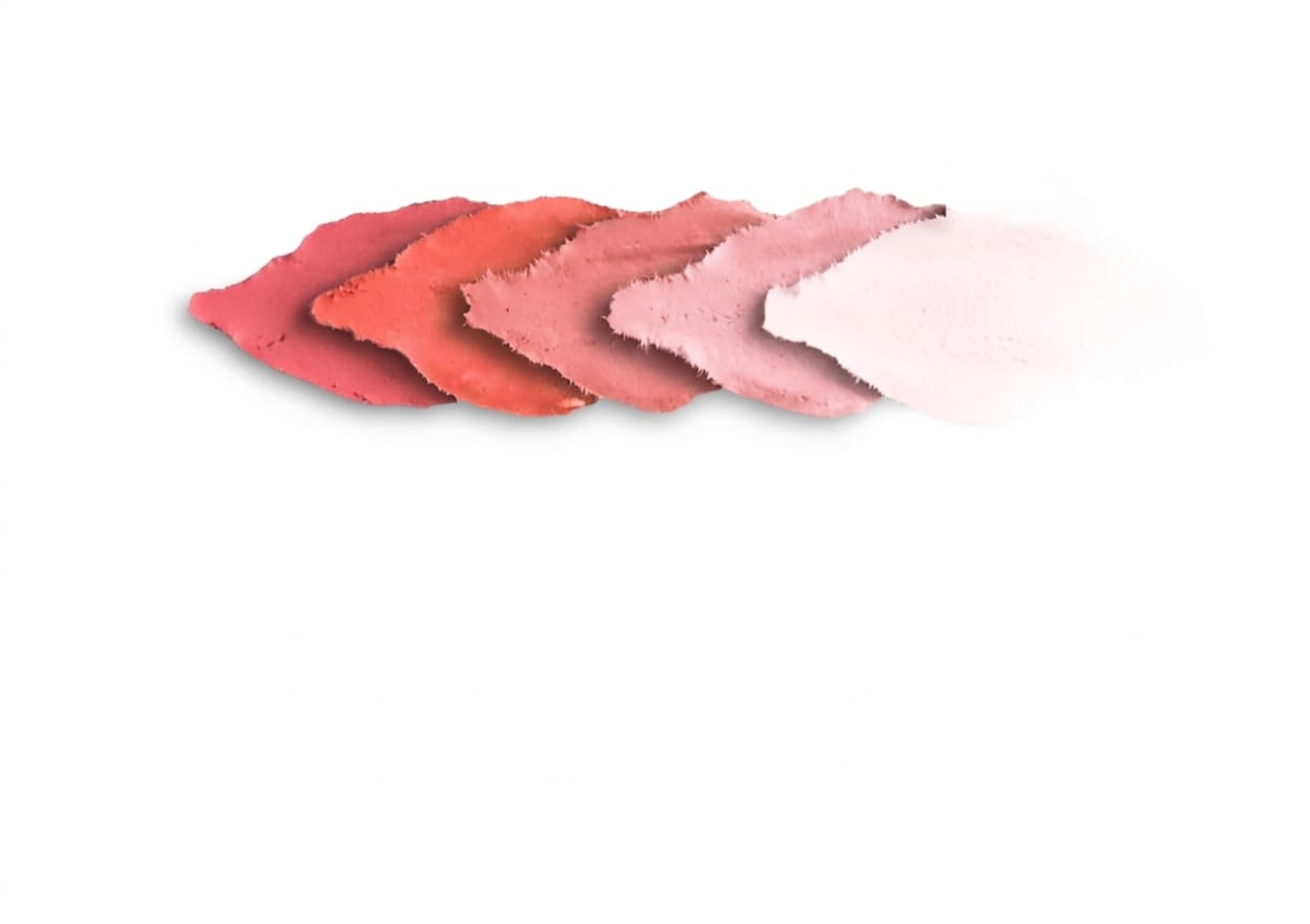 Carnation (500g)