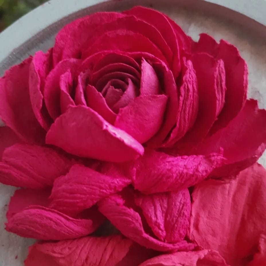 The Crimson Bloom