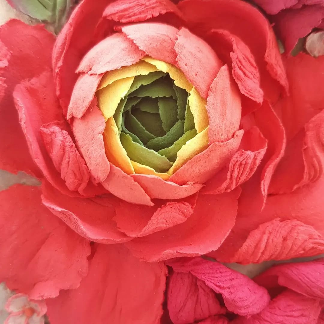 The Crimson Bloom